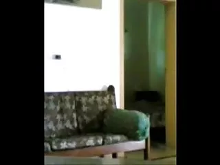 रिम फुल सेक्सी मूवी वीडियो में चाटना