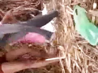 लंदन न्यूडिटी बीएफ फिल्म सेक्सी फुल एचडी में