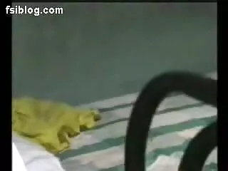 RLC लाउंज में स्टॉकिंग्स पहने फुल सेक्सी में राहेल टेलर