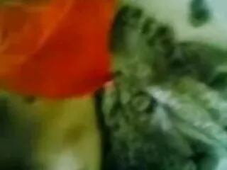 प्यारा गोरा उसके खिलौने सेक्सी पिक्चर फुल एचडी में m22 के साथ खेल रहा है